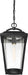 Hanging Lantern Nuvo 60-6514 Lakeview - 1 Light - Hanging Lantern - Aged Bronze Finish with Clear Seed Glass Nuvo