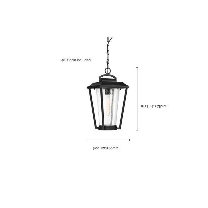 Hanging Lantern Nuvo 60-6514 Lakeview - 1 Light - Hanging Lantern - Aged Bronze Finish with Clear Seed Glass Nuvo
