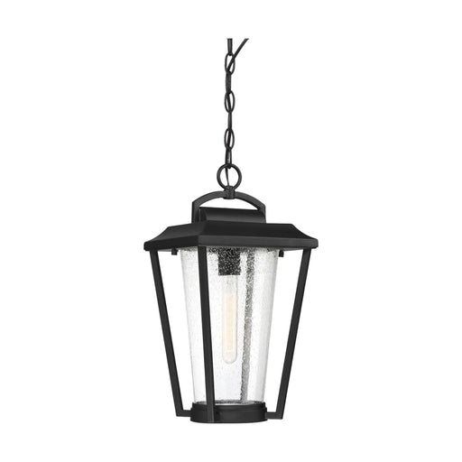 Hanging Lantern Nuvo 60-6514 Lakeview - 1 Light - Hanging Lantern - Aged Bronze Finish with Clear Seed Glass Nuvo