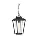 Hanging Lantern Nuvo 60-6514 Lakeview - 1 Light - Hanging Lantern - Aged Bronze Finish with Clear Seed Glass Nuvo
