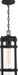 Hanging Lantern Nuvo 60-6574 Tofino - 1 Light - Hanging Lantern - Textured Black Finish with Clear Glass Nuvo