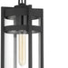 Hanging Lantern Nuvo 60-6574 Tofino - 1 Light - Hanging Lantern - Textured Black Finish with Clear Glass Nuvo