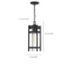 Hanging Lantern Nuvo 60-6574 Tofino - 1 Light - Hanging Lantern - Textured Black Finish with Clear Glass Nuvo