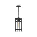 Hanging Lantern Nuvo 60-6574 Tofino - 1 Light - Hanging Lantern - Textured Black Finish with Clear Glass Nuvo
