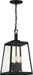 Hanging Lantern Nuvo 60-6584 Halifax - 4 Light - Hanging Lantern - Matte Black Finish with Clear Glass Nuvo