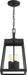 Hanging Lantern Nuvo 60-6584 Halifax - 4 Light - Hanging Lantern - Matte Black Finish with Clear Glass Nuvo