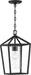 Hanging Lantern Nuvo 60-6594 Hopewell - 1 Light - Hanging Lantern - Matte Black Finish with Clear Seeded Glass Nuvo