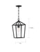 Hanging Lantern Nuvo 60-6594 Hopewell - 1 Light - Hanging Lantern - Matte Black Finish with Clear Seeded Glass Nuvo