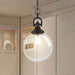 Pendant Nuvo 60-6673 Skyloft - 1 Light - Pendant Fixture - Aged Bronze Finish with Clear Glass Nuvo