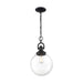 Pendant Nuvo 60-6673 Skyloft - 1 Light - Pendant Fixture - Aged Bronze Finish with Clear Glass Nuvo