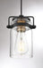 Mini Pendant Nuvo 60-6733 Antebellum - 1 Light - Mini Pendant Fixture - Black and Aged Gold Finish with Clear Glass Nuvo