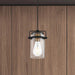 Mini Pendant Nuvo 60-6733 Antebellum - 1 Light - Mini Pendant Fixture - Black and Aged Gold Finish with Clear Glass Nuvo