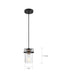 Mini Pendant Nuvo 60-6733 Antebellum - 1 Light - Mini Pendant Fixture - Black and Aged Gold Finish with Clear Glass Nuvo