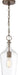 Pendant Nuvo 60-6748 Hartley - 1 Light - Pendant Fixture - Antique Copper Finish with Clear Glass Nuvo