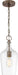 Pendant Nuvo 60-6748 Hartley - 1 Light - Pendant Fixture - Antique Copper Finish with Clear Glass Nuvo
