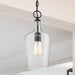 Pendant Nuvo 60-6749 Hartley - 1 Light - Pendant Fixture - Matte Black Finish with Clear Glass Nuvo