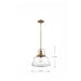 Pendant Nuvo 60-6757 Basel - 1 Light - Pendant Fixture - Burnished Brass Finish with Clear Glass Nuvo