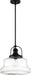 Pendant Nuvo 60-6759 Basel - 1 Light - Pendant Fixture - Aged Bronze Finish with Clear Glass Nuvo