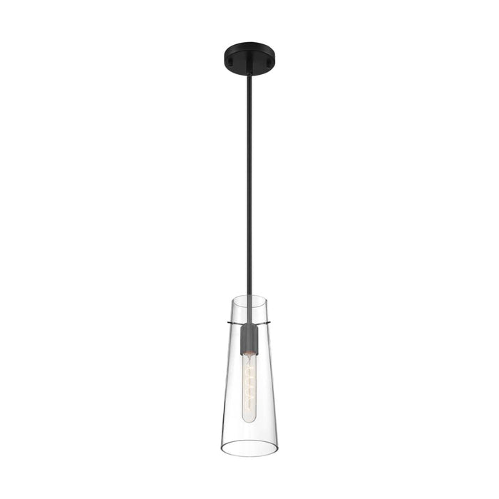 Mini Pendant Nuvo 60-6880 Alondra - 1 Light - Mini Pendant Fixture - Black Finish with Clear Glass Nuvo