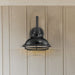 Sconce Nuvo 60-7001 Newbridge - 1 Light - Small Outdoor Wall Sconce Fixture - Gloss Black Finish with Silver and Textured Black Accents Nuvo