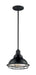 Pendant Nuvo 60-7003 Newbridge - 1 Light - Small Pendant Fixture - Gloss Black Finish with Silver and Textured Black Accents Nuvo