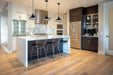 Pendant Nuvo 60-7004 Newbridge - 1 Light - Large Pendant Fixture - Gloss Black Finish with Silver and Textured Black Accents Nuvo