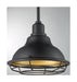Pendant Nuvo 60-7013 Newbridge - 1 Light - Small Pendant Fixture - Dark Bronze Finish with Gold Accents Nuvo