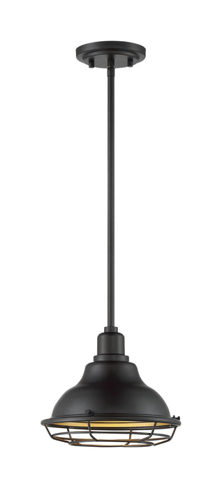 Pendant Nuvo 60-7013 Newbridge - 1 Light - Small Pendant Fixture - Dark Bronze Finish with Gold Accents Nuvo
