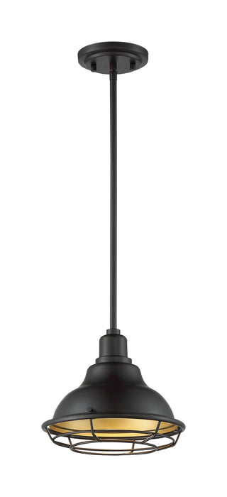 Pendant Nuvo 60-7013 Newbridge - 1 Light - Small Pendant Fixture - Dark Bronze Finish with Gold Accents Nuvo