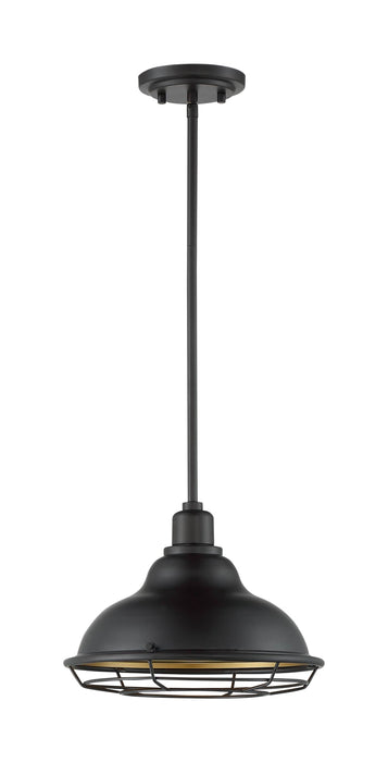 Pendant Nuvo 60-7014 Newbridge - 1 Light - Large Pendant Fixture - Dark Bronze Finish with Gold Accents Nuvo