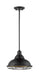 Pendant Nuvo 60-7014 Newbridge - 1 Light - Large Pendant Fixture - Dark Bronze Finish with Gold Accents Nuvo