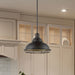 Pendant Nuvo 60-7014 Newbridge - 1 Light - Large Pendant Fixture - Dark Bronze Finish with Gold Accents Nuvo