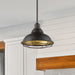 Pendant Nuvo 60-7014 Newbridge - 1 Light - Large Pendant Fixture - Dark Bronze Finish with Gold Accents Nuvo
