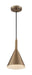 Pendant Nuvo 60-7117 Lightcap - 1 Light - Small Pendant Fixture - Burnished Brass Finish Nuvo