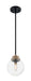 Pendant Nuvo 60-7121 Axis - 1 Light - Pendant Fixture - Matte Black Finish with Brass Accents - Clear Glass Nuvo
