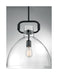 Pendant Nuvo 60-7152 Teresa - 1 Light - Bell Pendant Fixture - Matte Black Finish with Clear Glass Nuvo
