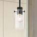 Mini Pendant Nuvo 60-7270 Sommerset - 1 Light - Mini Pendant Fixture - Matte Black Finish with Clear Glass Nuvo