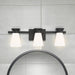 Vanity Nuvo 60-7313 Caleta - 3 Light - Vanity Fixture - Black Finish with Frosted Cylindrical Glass Nuvo