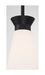 Mini Pendant Nuvo 60-7314 Caleta - 1 Light - Mini Pendant Fixture - Black Finish with Frosted Cylindrical Glass Nuvo