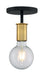 Semi Flush Nuvo 60-7343 Ryder - 1 Light - Semi Flush Fixture - Black Finish with Brushed Brass Sockets Nuvo
