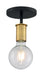 Semi Flush Nuvo 60-7343 Ryder - 1 Light - Semi Flush Fixture - Black Finish with Brushed Brass Sockets Nuvo