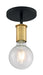 Semi Flush Nuvo 60-7343 Ryder - 1 Light - Semi Flush Fixture - Black Finish with Brushed Brass Sockets Nuvo