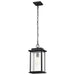 Hanging Lantern Nuvo 60-7377 Sullivan Collection Outdoor 16 inch Hanging Light - Matte Black Finish with Clear Seeded Glass Nuvo
