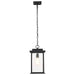 Hanging Lantern Nuvo 60-7377 Sullivan Collection Outdoor 16 inch Hanging Light - Matte Black Finish with Clear Seeded Glass Nuvo