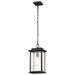 Hanging Lantern Nuvo 60-7377 Sullivan Collection Outdoor 16 inch Hanging Light - Matte Black Finish with Clear Seeded Glass Nuvo