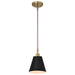Pendant Nuvo 60-7408 Dover - 1 Light - Small Pendant - Black with Vintage Brass Nuvo