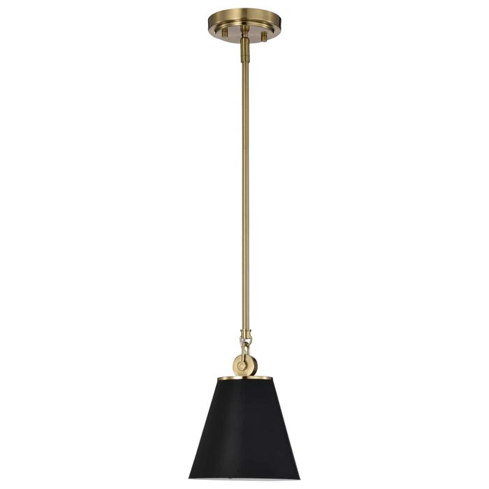 Pendant Nuvo 60-7408 Dover - 1 Light - Small Pendant - Black with Vintage Brass Nuvo