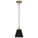 Pendant Nuvo 60-7408 Dover - 1 Light - Small Pendant - Black with Vintage Brass Nuvo