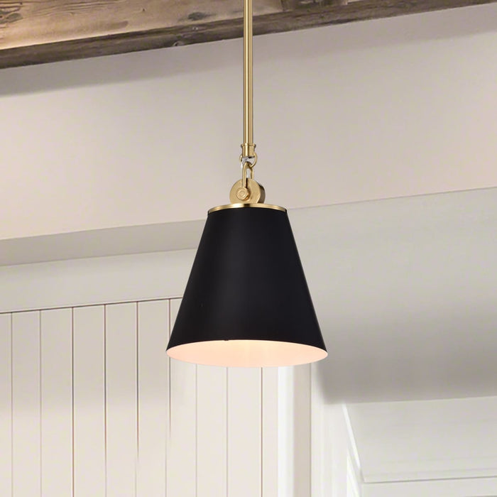 Pendant Nuvo 60-7408 Dover - 1 Light - Small Pendant - Black with Vintage Brass Nuvo