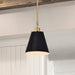 Pendant Nuvo 60-7408 Dover - 1 Light - Small Pendant - Black with Vintage Brass Nuvo